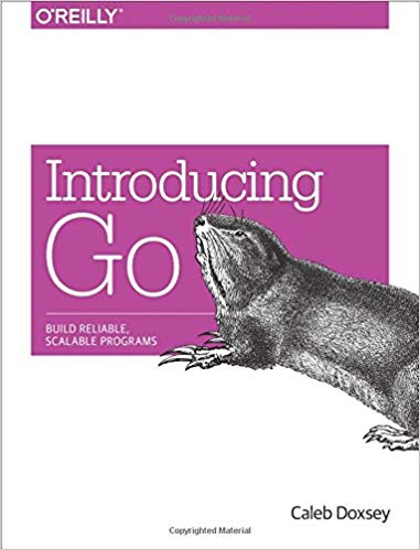 Introducing Go: Build Reliable, Scalable Programs by Caleb Doxsey - programmingcube.com