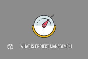 what is project management