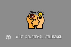 What Is Emotional Intelligence