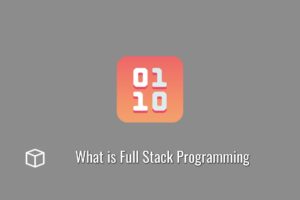 What is Full Stack Programming
