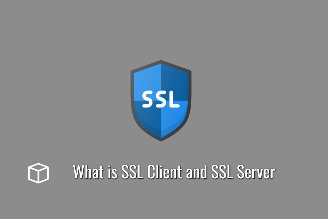 What is SSL Client and SSL Server