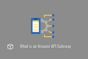 What is an Amazon API Gateway