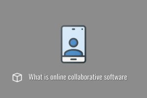 What is online collaborative software