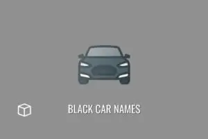 black-car-names