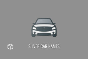 silver-car-names