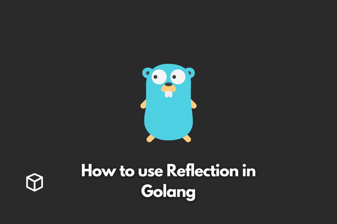 how-to-use-reflection-in-golang